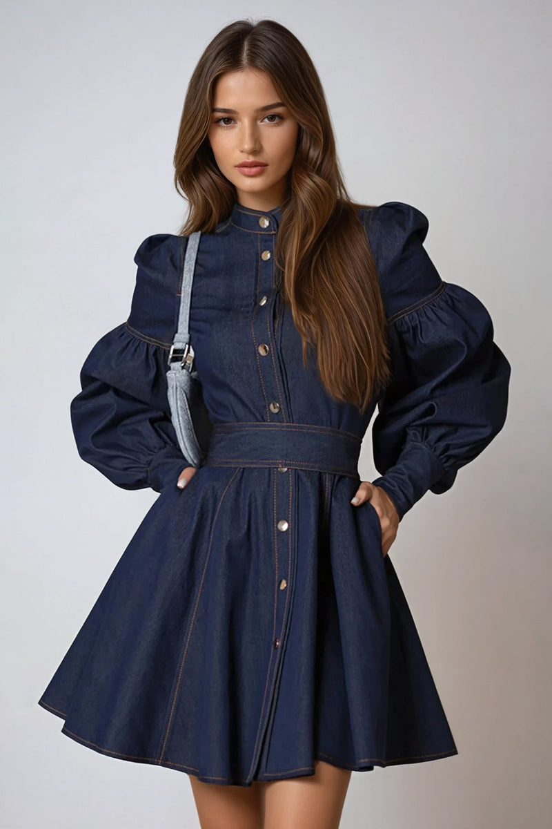 Aspen Puff Sleeve Mini Dress