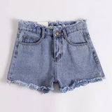 Miles Distressed Cutoff Chic Shorts