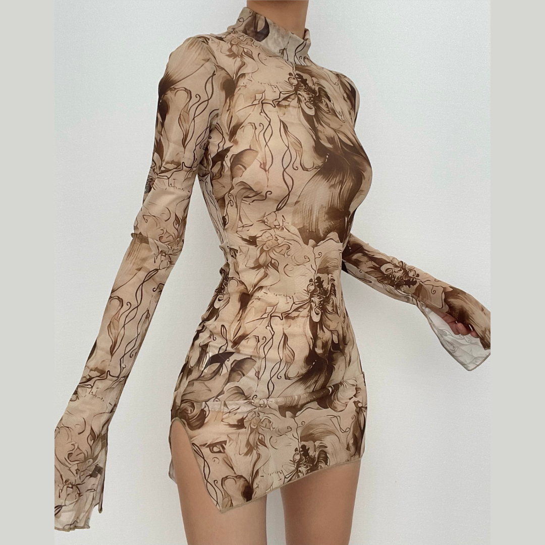 Sheer mesh see through print long sleeve mini dress